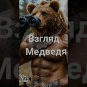 Песня Взгляд Медведя От Baba Yaga