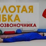 Взаимодействие Внутренних Органов
