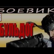 Бульдог1