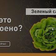 Как Это Сделано 2021