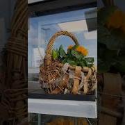 Я Поздравляю Вас Мои Родные