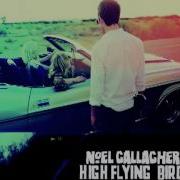 Noel Gallagher S High Flying Birds Aka What A Life