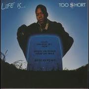 Life Too Short