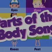 Parts Of The Body Song