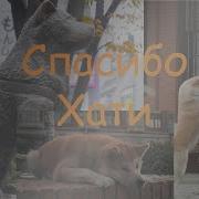 Песня О Хатико