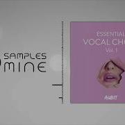 Aubit Essential Vocal Chops