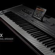 Korg Pa4X