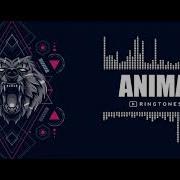 Animals Рингтон