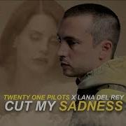 Twenty One Pilots Lana Del Rey Cut My Sadness Mashup Video