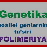 Genlarning Polimer Va Ko P Tomonlama Ta Siri