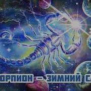 Скорпион Зимний Сад