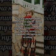 Как Красива Была Это Роза