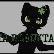 Meme Mia Blacktail