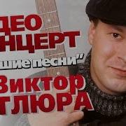 Петлюра Концерт