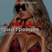 Дмитрий Гревцев Вот Настал Дембель Мой