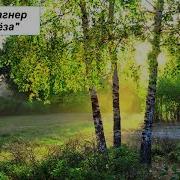 Вагнер Береза