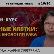 Мария Кондратова