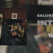 Intro Saluki 104