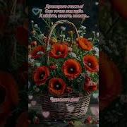 Добрый День Музыкальная Открытка