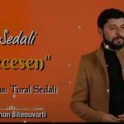 Tural Sedali Necesen