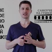 Наша Губная Гармошка