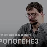 Дробышевский Антропогенез