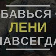 Нет Оправданий О Том Как Начать Действовать Несмотря Ни На Что Брайан