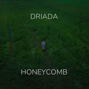 Driada Honeycomb