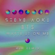 Steve Aoki Feat Bts Waste It On Me W W Remix