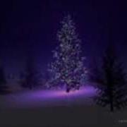 Northern Lights Paul Hardcastle