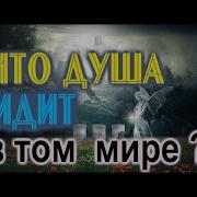 Что Душа Видит В Том Мире