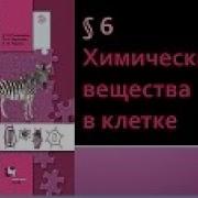 Химические Вещества В Клетке