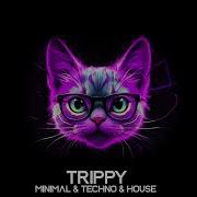 Trippy Cat