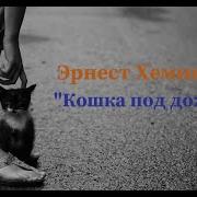 Э Хемингуэй Кошка Под Дождём Старик И Море