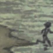 Дубовый Гаайъ Dolphin Мишины Дельфины