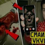 Сергионис Смайл Дог Укусил Меня