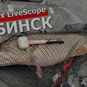 Рыбинское Водохранилище