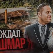 Семейные Истории