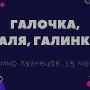 Владимир Кузнецов Галочка
