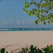 Евгения Винд Чайка