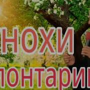 Ягон Чи Биер Хурдани