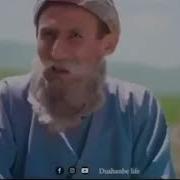 Бобои Мерган Клипи Нав 2020
