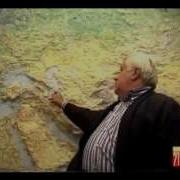 Виктор Калюжный