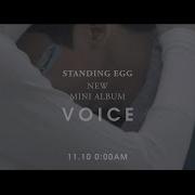 Standing Egg Voice