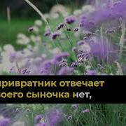 Мать Старушка К Воротам Тюрьмы Пришла Караоке