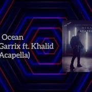 Martin Garrix Acapella