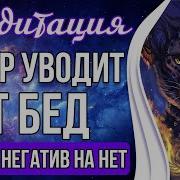Медитация Ягуар Уводит От Бед