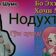 Хочи Мирзо Дар Бораи Нодухтар