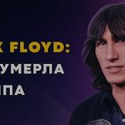 Шегалов Пинк Флойд