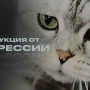 Скажи Депрессии Нет